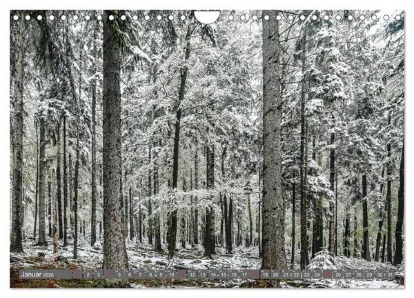 Produktbild: Schwarzwald-Wanderungen (Wandkalender 2026 DIN A4 quer), CALVENDO Monatskalender