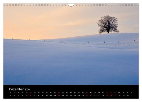 Produktbild: B&auml;ume (Wandkalender 2026 DIN A3 quer), CALVENDO Monatskalender