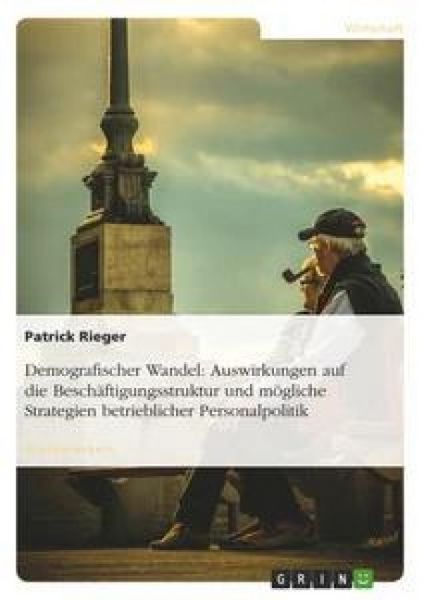 Demografischer Wandel: Auswirkungen auf die Beschäftigungsstruktur und mögliche Strategien betrieblicher Personalpolitik, Taschenbuch von Patrick