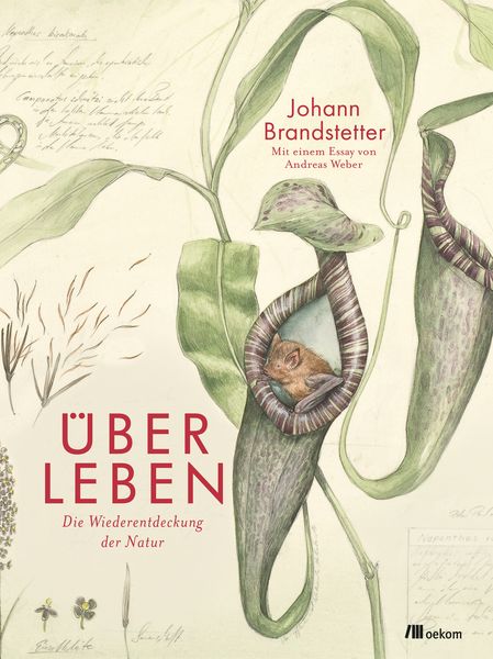 Produktbild: &Uuml;ber Leben