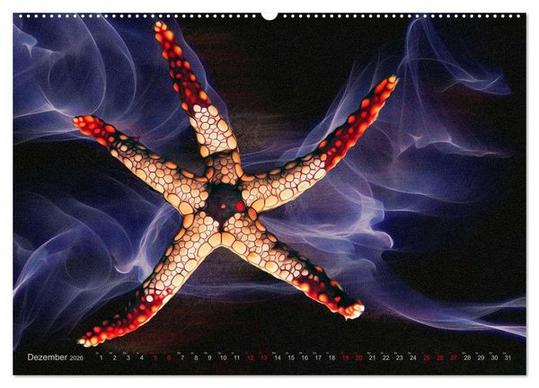 Produktbild: Artwork Unterwasser - Erlebnis Tauchen (hochwertiger Premium Wandkalender 2026 DIN A2 quer), Kunstdruck in Hochglanz