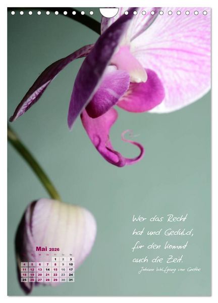Produktbild: Blumen & Zitate (Wandkalender 2026 DIN A4 hoch), CALVENDO Monatskalender