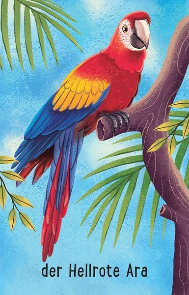 Produktbild: Schnapp und weg! Das superschnelle Kartenspiel: Im Zoo