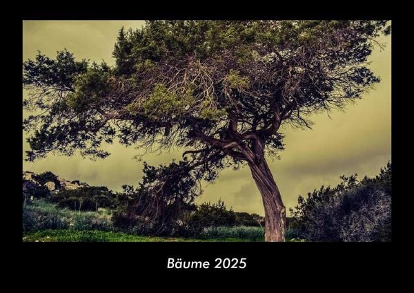 Produktbild: B&auml;ume 2025 Fotokalender DIN A3