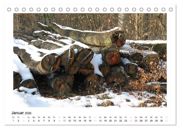 Produktbild: Holz - so vielf&auml;ltig (Tischkalender 2026 DIN A5 quer), CALVENDO Monatskalender