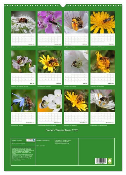 Produktbild: Bienen-Terminplaner 2026 (Wandkalender 2026 DIN A2 hoch), CALVENDO Monatskalender