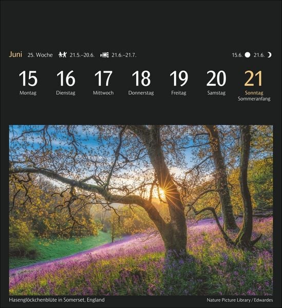 Produktbild: Magic Nature Postkartenkalender Kalender 2026 - Kalender mit 53 Postkarten