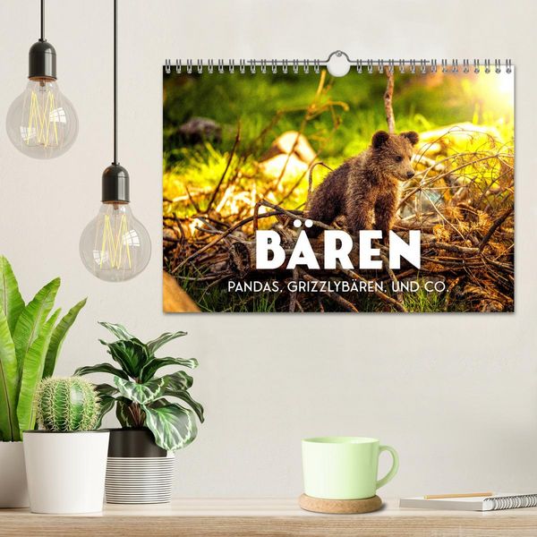 Produktbild: B&auml;ren - Pandas, Grizzlyb&auml;ren und Co. (Wandkalender 2026 DIN A4 quer), CALVENDO Monatskalender