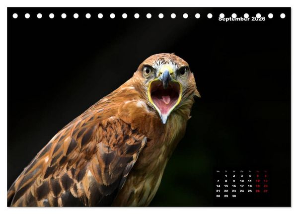 Produktbild: Greifv&ouml;gel - Herrscher der L&uuml;fte (Tischkalender 2026 DIN A5 quer), CALVENDO Monatskalender