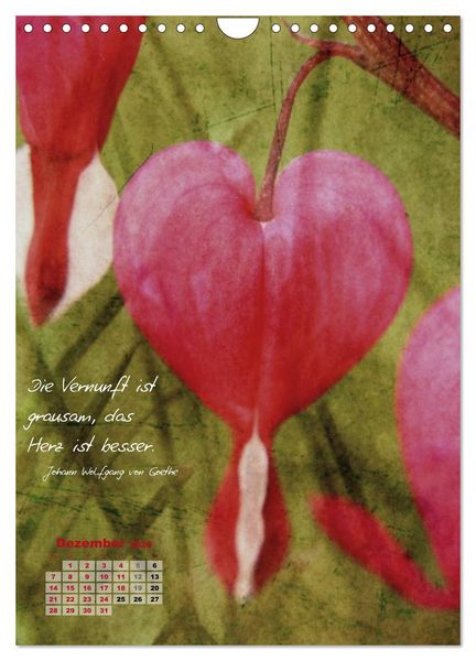 Produktbild: Blumen & Zitate (Wandkalender 2026 DIN A4 hoch), CALVENDO Monatskalender