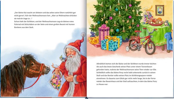 Produktbild: Das Weihnachtspony