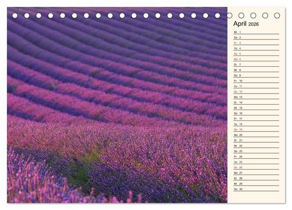 Produktbild: Lavendel (Tischkalender 2026 DIN A5 quer), CALVENDO Monatskalender