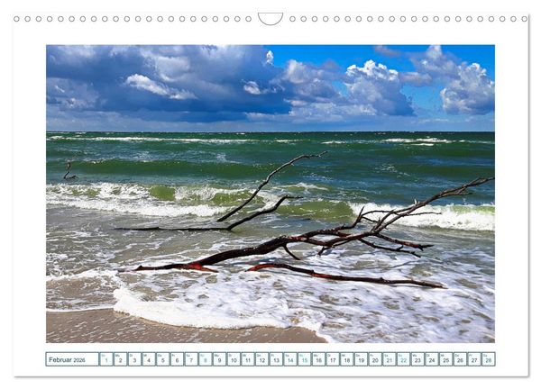 Produktbild: Der Weststrand am Dar&szlig; (Wandkalender 2026 DIN A3 quer), CALVENDO Monatskalender