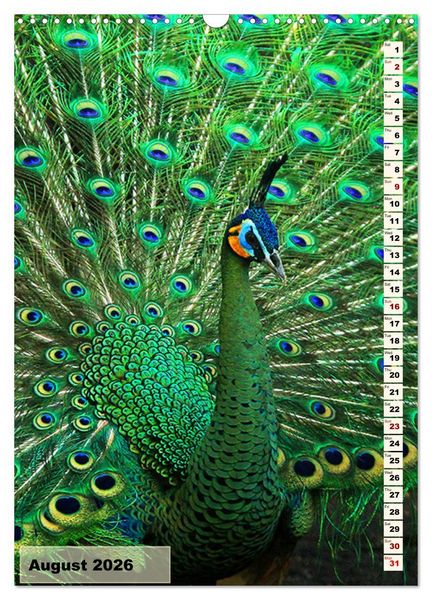 Produktbild: Colourful birds (Wall Calendar 2026 DIN A3 portrait), CALVENDO 12 Month Wall Calendar