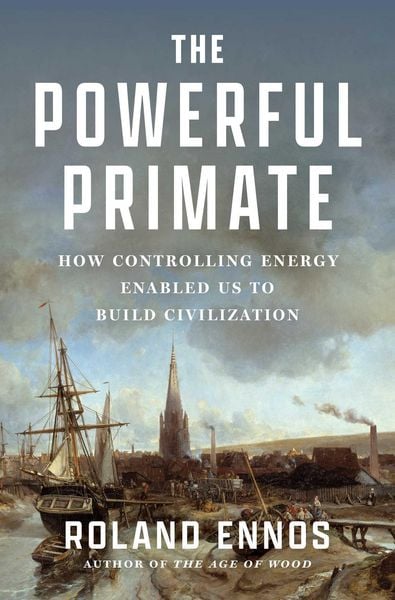 Produktbild: The Powerful Primate