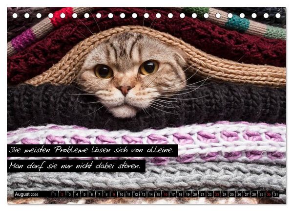 Produktbild: Der "philosophische" Katzenkalender 2026 (Tischkalender 2026 DIN A5 quer), CALVENDO Monatskalender