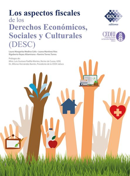 Produktbild: Los Aspectos fiscales de los derechos econ&oacute;micos, sociales y culturales (DESC) 2020
