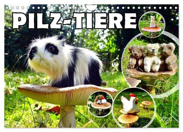 Pilz-Tiere (Wandkalender 2026 DIN A4 quer), CALVENDO Monatskalender