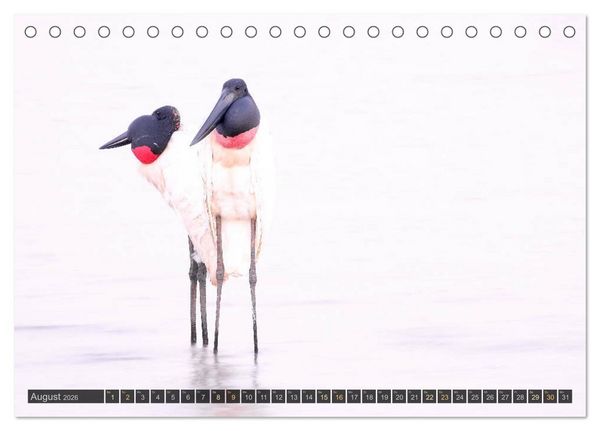 Produktbild: Tiere im Pantanal - viaje.ch (Tischkalender 2026 DIN A5 quer), CALVENDO Monatskalender
