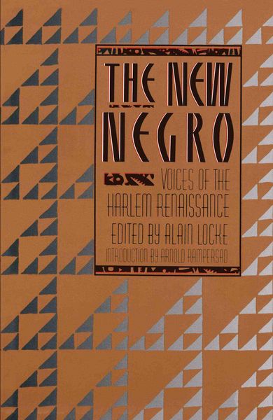 Produktbild: The New Negro