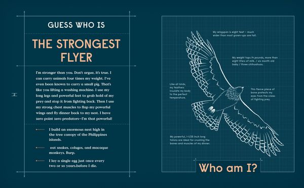 Produktbild: Book of Flight