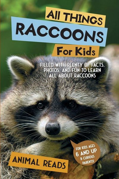 Produktbild: All Things Raccoons For Kids