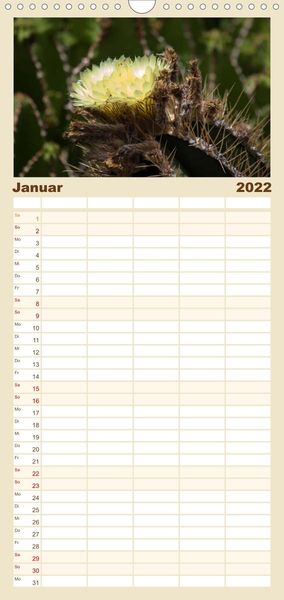 Produktbild: Familienplaner Faszination Kakteen (Wandkalender 2022 , 21 cm x 45 cm, hoch)