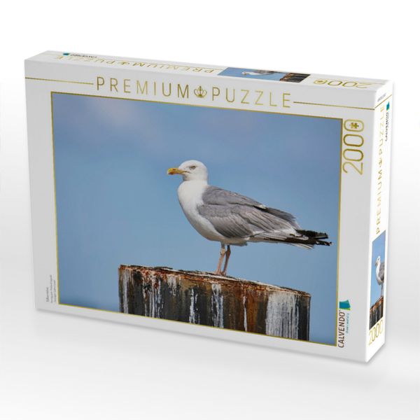 Produktbild: CALVENDO Puzzle Silberm&ouml;ve | 2000 Teile Lege-Gr&ouml;&szlig;e 90x67cm Foto-Puzzle f&uuml;r gl&uuml;ckliche Stunden