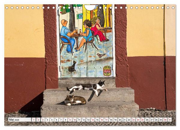 Produktbild: Madeira - Funchal (Wandkalender 2026 DIN A4 quer), CALVENDO Monatskalender