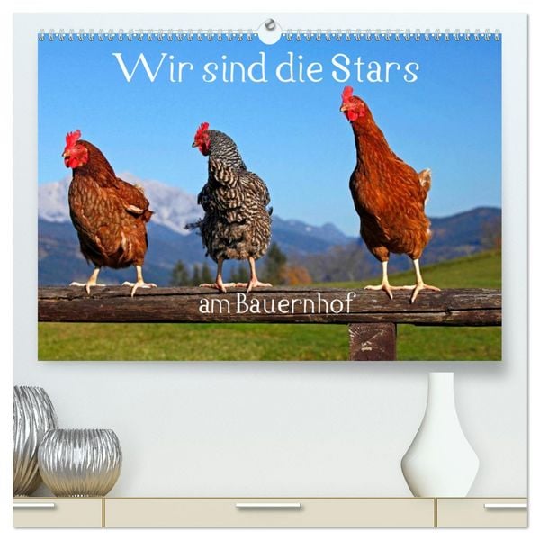 Produktbild: Wir sind die Stars am Bauernhof (hochwertiger Premium Wandkalender 2026 DIN A2 quer), Kunstdruck in Hochglanz