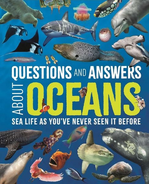 Produktbild: Questions and Answers about Oceans