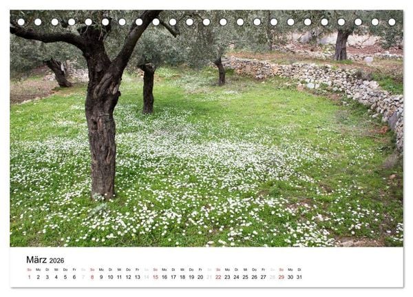 Produktbild: Al&oacute;nnisos, Ski&aacute;thos, Sk&oacute;pelos (Tischkalender 2026 DIN A5 quer), CALVENDO Monatskalender
