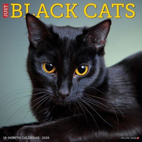 Produktbild: Black Cats 2026 Wall Calendar
