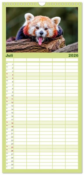 Produktbild: Familienplaner 2026 - Kleiner Panda mit 5 Spalten (Wandkalender, 21 x 45 cm) CALVENDO