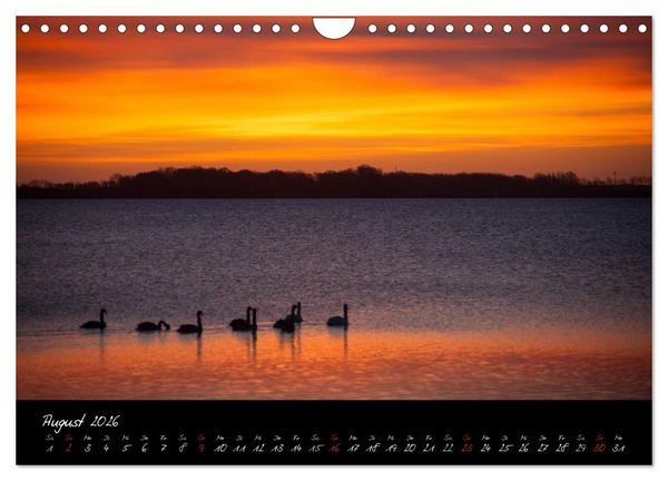 Produktbild: R&uuml;gen-Impressionen (Wandkalender 2026 DIN A4 quer), CALVENDO Monatskalender