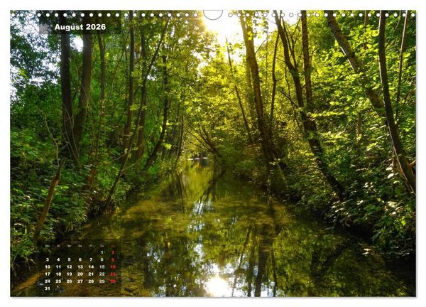Produktbild: Zauberhafte Waldlandschaften (Wandkalender 2026 DIN A3 quer), CALVENDO Monatskalender