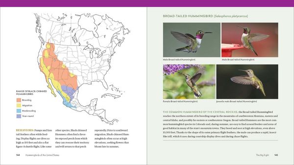 Produktbild: The Hummingbird Handbook