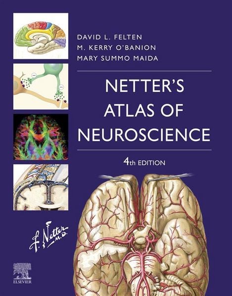Produktbild: Netter's Atlas of Neuroscience E-Book