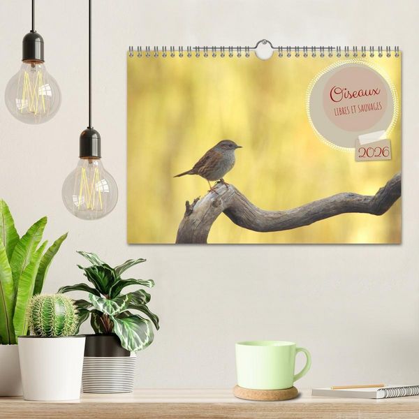 Produktbild: Oiseaux libres et sauvages (Calendrier mural 2026 DIN A4 vertical), CALVENDO calendrier mensuel
