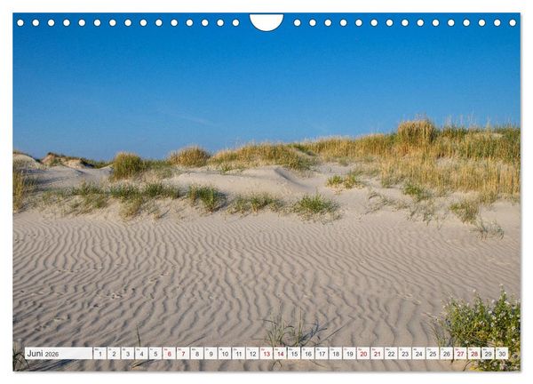 Produktbild: Urlaub in Nordfriesland (Wandkalender 2026 DIN A4 quer), CALVENDO Monatskalender