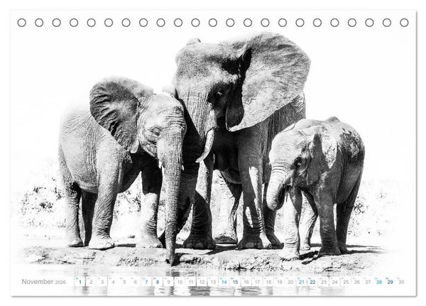 Produktbild: AFRIKA - Schwarz-weiss Fotografien im modernen "High Key" Look (Tischkalender 2026 DIN A5 quer), CALVENDO Monatskalender