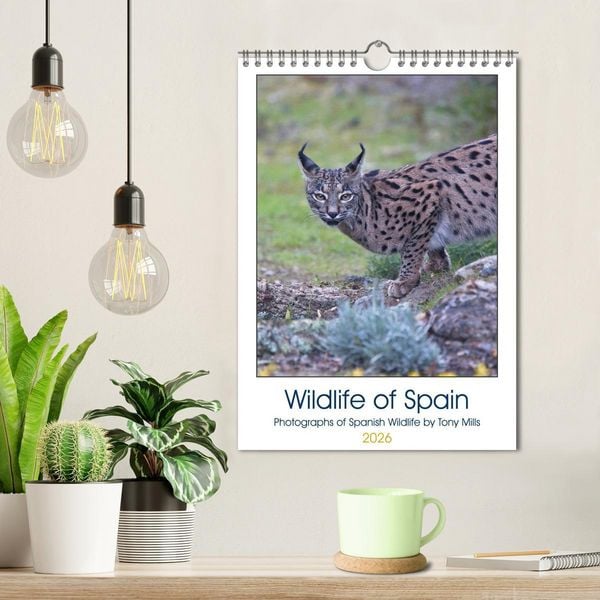 Produktbild: Wildlife of Spain (Wall Calendar 2026 DIN A4 portrait), CALVENDO 12 Month Wall Calendar