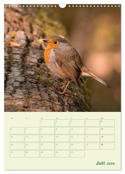 Produktbild: Waldmomente (Wandkalender 2026 DIN A3 hoch), CALVENDO Monatskalender
