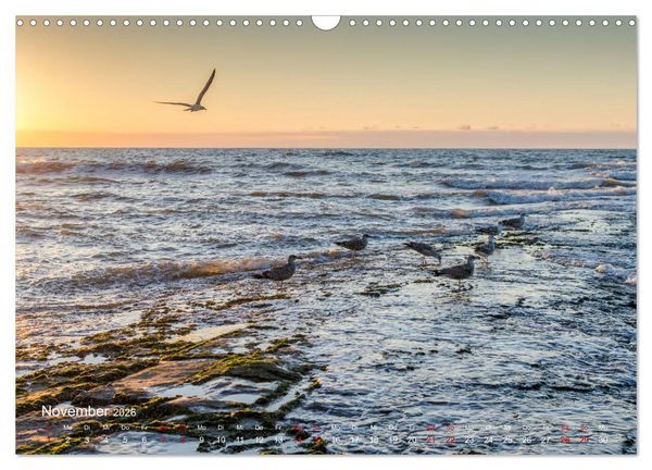 Produktbild: Flandern - Stadt und Strand (Wandkalender 2026 DIN A3 quer), CALVENDO Monatskalender