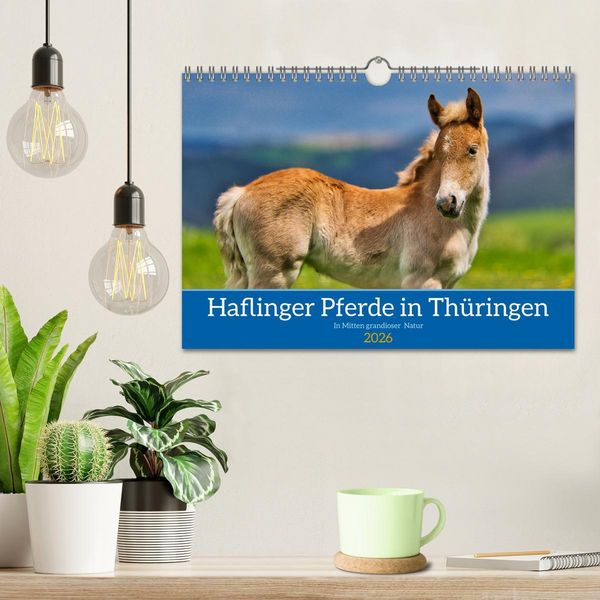 Produktbild: Haflinger Pferde in Th&uuml;ringen (Wandkalender 2026 DIN A4 quer), CALVENDO Monatskalender