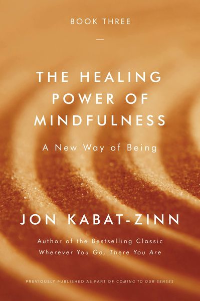Produktbild: The Healing Power of Mindfulness