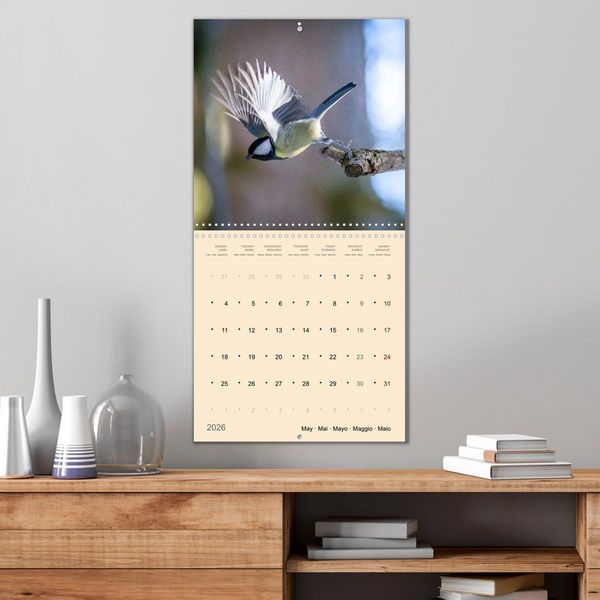Produktbild: Portraits d'oiseaux des beaut&eacute;s plumeuses (Calendrier mural carr&eacute; 2026 30x30 cm) Calendrier double avec une page pour vos prises de notes