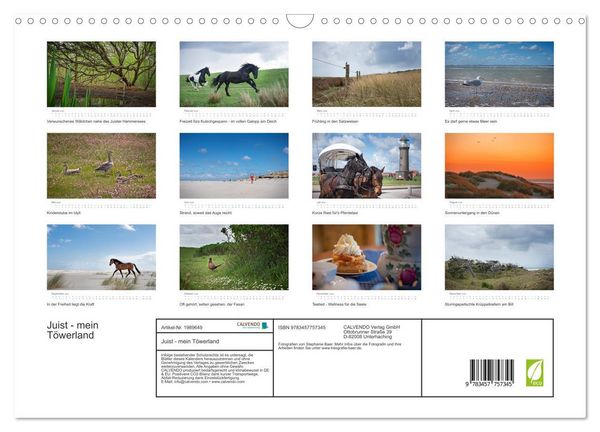 Produktbild: Juist - mein T&ouml;werland (Wandkalender 2026 DIN A3 quer), CALVENDO Monatskalender
