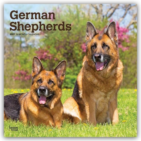 Produktbild: German Shepherds &ndash; Deutsche Sch&auml;ferhunde 2027 &ndash; 16-Monatskalender