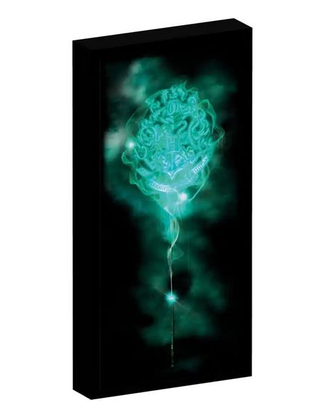 Produktbild: Harry Potter Canvas mit 6 LED Lichtern